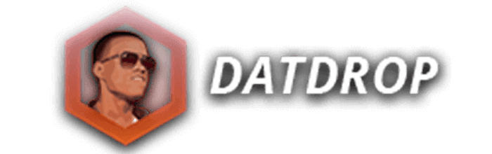 DatDrop Company Logo